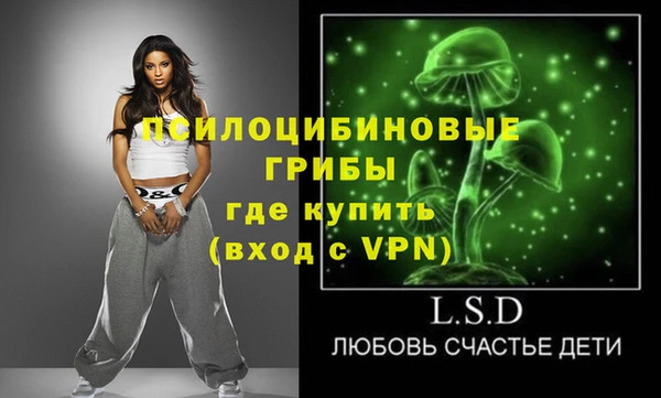 винт Костерёво