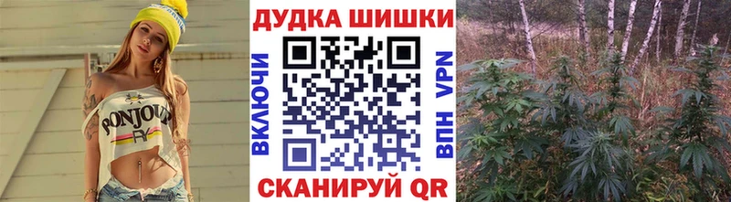 Купить закладки  Вытегра  Шишки марихуана VHQ 